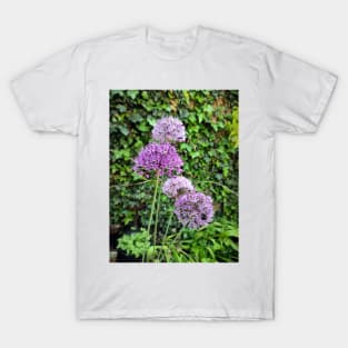 ornamental onion T-Shirt